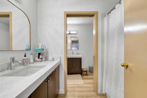 300 Copperstone Cove Se, Calgary, AB - Indoor Photo Showing Bathroom