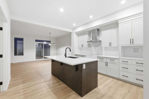 48 Herron Way Ne, Calgary, AB - Indoor Photo Showing Kitchen With Upgraded Kitchen