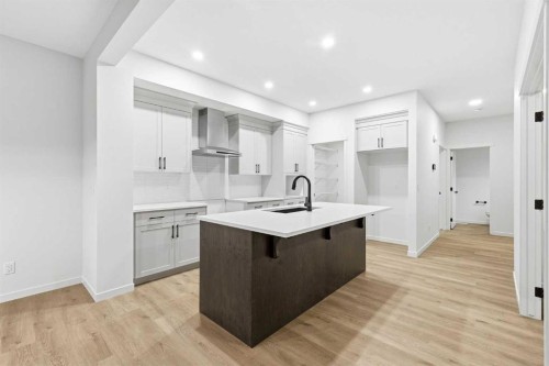 48 Herron Way Ne, Calgary, AB - Indoor Photo Showing Kitchen With Upgraded Kitchen