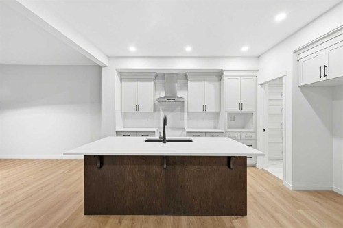 48 Herron Way Ne, Calgary, AB - Indoor Photo Showing Kitchen With Upgraded Kitchen