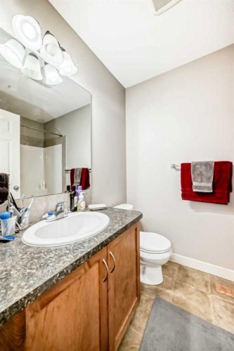 198 Brightonstone Bay Se, Calgary, AB - Indoor Photo Showing Bathroom