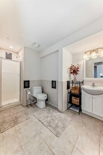 198 Brightonstone Bay Se, Calgary, AB - Indoor Photo Showing Bathroom