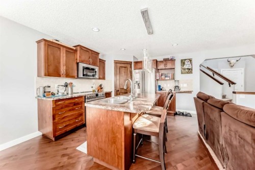 562 New Brighton Drive Se, Calgary, AB - Indoor Photo Showing Kitchen With Double Sink