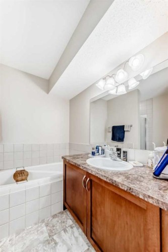 562 New Brighton Drive Se, Calgary, AB - Indoor Photo Showing Bathroom