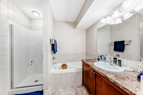 562 New Brighton Drive Se, Calgary, AB - Indoor Photo Showing Bathroom