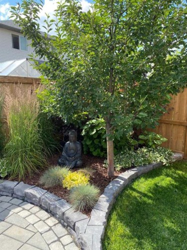 562 New Brighton Drive Se, Calgary, AB - Outdoor