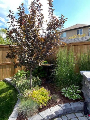 562 New Brighton Drive Se, Calgary, AB - Outdoor