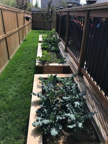 562 New Brighton Drive Se, Calgary, AB - Outdoor