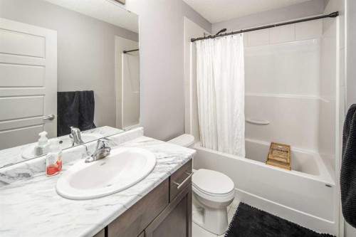 7173 Cardinal Way Sw, Edmonton, AB - Indoor Photo Showing Bathroom