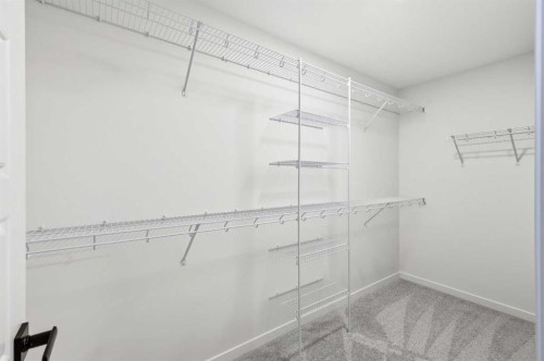 72 Calhoun Rise Ne, Calgary, AB - Indoor With Storage