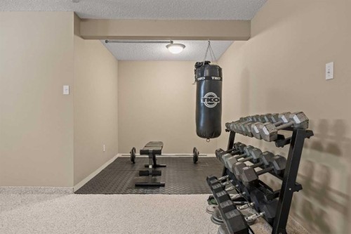 71 Somercrest Close Sw, Calgary, AB - Indoor Photo Showing Gym Room