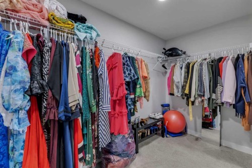 14 Carrington Road Nw, Calgary, AB - Indoor With Storage