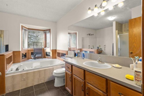 132 Scenic Cove Circle Nw, Calgary, AB - Indoor Photo Showing Bathroom