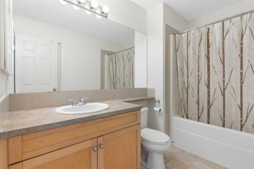 119 Royal Birch Villas Nw, Calgary, AB - Indoor Photo Showing Bathroom