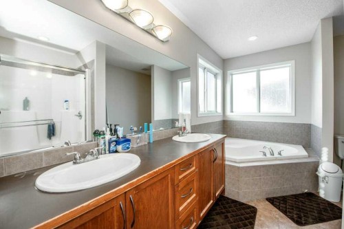 1119 Panamount Boulevard Nw, Calgary, AB - Indoor Photo Showing Bathroom