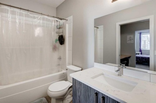 105 Redstone Crescent Ne, Calgary, AB - Indoor Photo Showing Bathroom