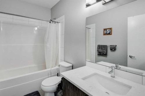 105 Redstone Crescent Ne, Calgary, AB - Indoor Photo Showing Bathroom