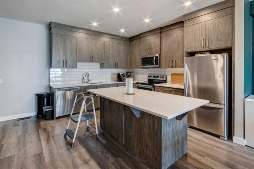105 Redstone Crescent Ne, Calgary, AB - Indoor Photo Showing Kitchen With Upgraded Kitchen