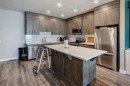 105 Redstone Crescent Ne, Calgary, AB  - Indoor Photo Showing Kitchen With Upgraded Kitchen 