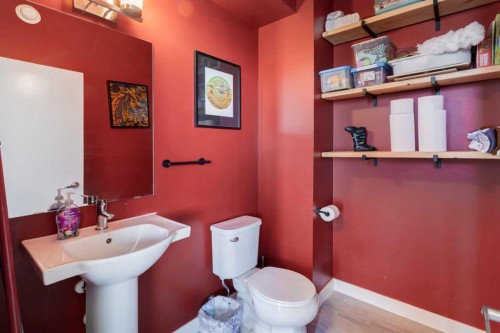 105 Redstone Crescent Ne, Calgary, AB - Indoor Photo Showing Bathroom