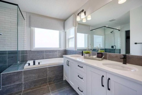 103 Wolf Creek Rise Se, Calgary, AB - Indoor Photo Showing Bathroom