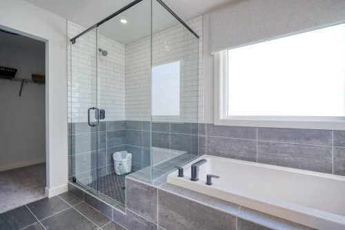 103 Wolf Creek Rise Se, Calgary, AB - Indoor Photo Showing Bathroom
