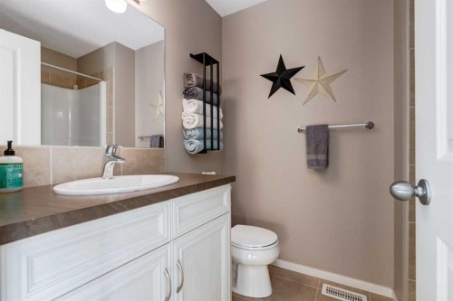 161 Mahogany Drive Se, Calgary, AB - Indoor Photo Showing Bathroom