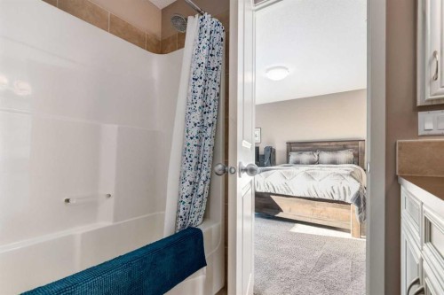 161 Mahogany Drive Se, Calgary, AB - Indoor Photo Showing Bathroom