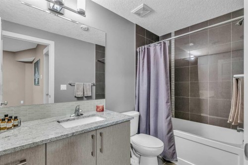 2-4613 17 Avenue Nw, Calgary, AB - Indoor Photo Showing Bathroom