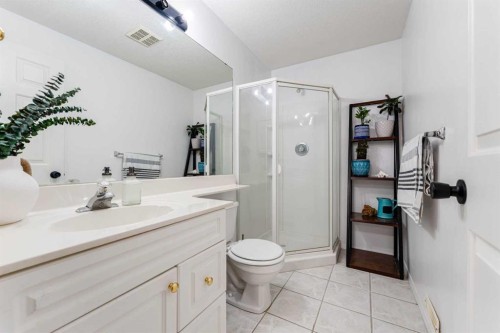 147 Chaparral Ridge Circle Se, Calgary, AB - Indoor Photo Showing Bathroom