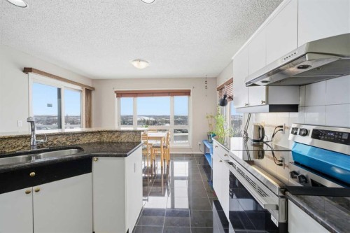 62 Hampstead Gardens Nw, Calgary, AB - Indoor Photo Showing Kitchen With Double Sink