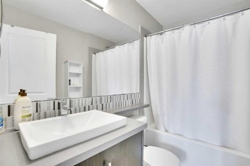 306 Ascot Circle Sw, Calgary, AB - Indoor Photo Showing Bathroom