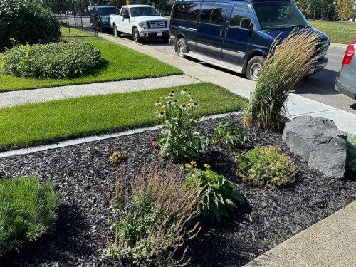 2026 29 Street Sw, Calgary, AB - Outdoor