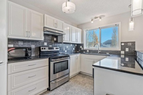 22 Silverado Plains Circle Sw, Calgary, AB - Indoor Photo Showing Kitchen