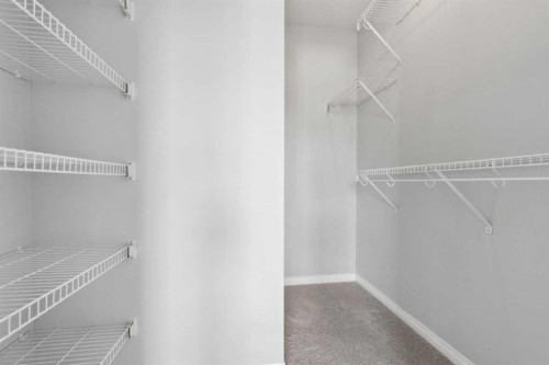 22 Silverado Plains Circle Sw, Calgary, AB - Indoor With Storage