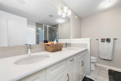 229 Kingsbury Close Se, Airdrie, AB - Indoor Photo Showing Bathroom