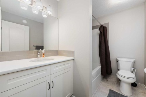 229 Kingsbury Close Se, Airdrie, AB - Indoor Photo Showing Bathroom
