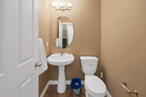 58 Skyview Point Link Ne, Calgary, AB - Indoor Photo Showing Bathroom