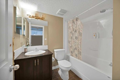 58 Skyview Point Link Ne, Calgary, AB - Indoor Photo Showing Bathroom