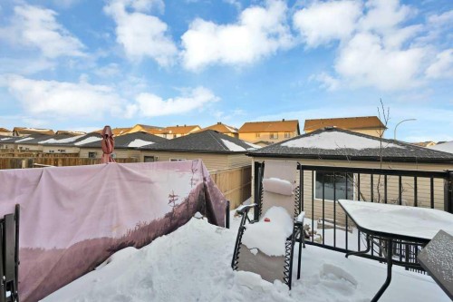 58 Skyview Point Link Ne, Calgary, AB - Outdoor