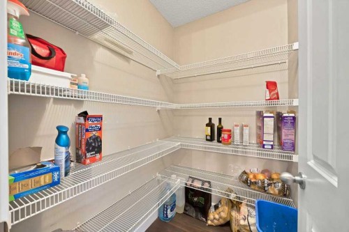 58 Skyview Point Link Ne, Calgary, AB - Indoor