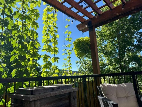 200 Auburn Meadows Crescent Se, Calgary, AB - Outdoor