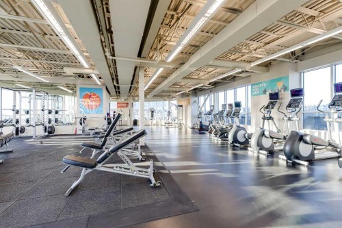 1109-16 Varsity Estates Circle Nw, Calgary, AB - Indoor Photo Showing Gym Room