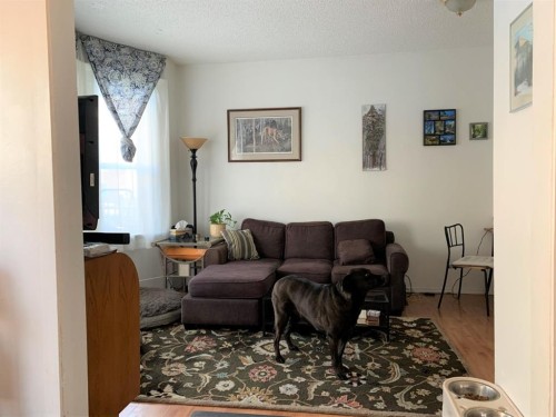 1223 13 Avenue Sw, Calgary, AB - Indoor Photo Showing Living Room