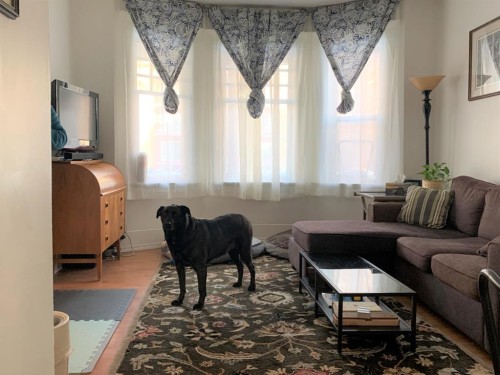 1223 13 Avenue Sw, Calgary, AB - Indoor Photo Showing Living Room