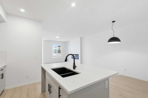 355 Herron Landing Ne, Calgary, AB - Indoor Photo Showing Kitchen With Double Sink