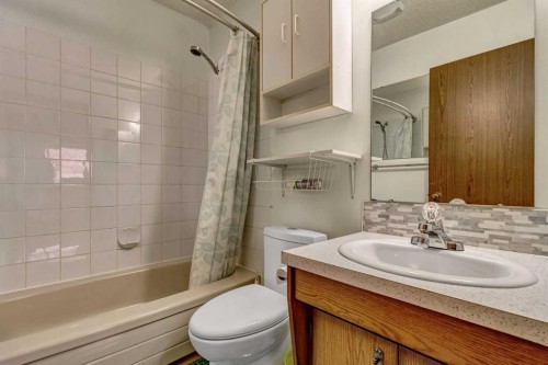 48 Martingrove Way Ne, Calgary, AB - Indoor Photo Showing Bathroom