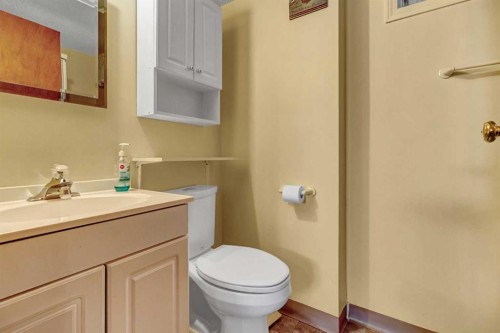48 Martingrove Way Ne, Calgary, AB - Indoor Photo Showing Bathroom