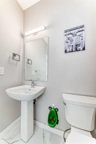 1244 Cornerstone Way Ne, Calgary, AB - Indoor Photo Showing Bathroom