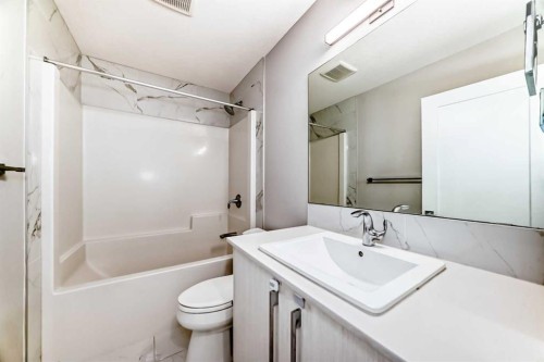 1244 Cornerstone Way Ne, Calgary, AB - Indoor Photo Showing Bathroom